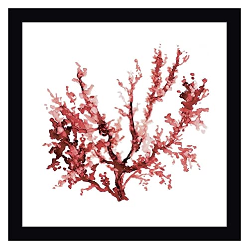 Sea Coral III by Carol Robinson 36" x 36" Gallery Wrapped Canvas Wall Art Print - Ready to Hang